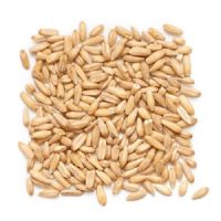 Organic Oat Groats For Sale