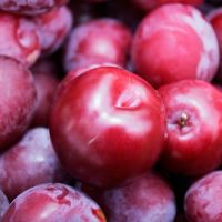 Best Price Fresh Plums For Best Price Sale