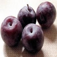 Best Price Fresh Plums For Best Price Sale