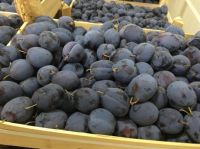 Top Grade Fresh Plums For Sale