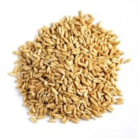 Top Grade Organic Oat Groats For Low Cost Price