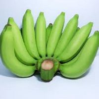 High Quality Farm Supply Fresh Bananas For Low Cost Price