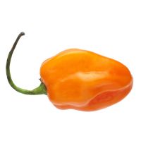 Red / Yellow Fresh Habanero Pepper