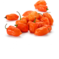 Fresh Habanero