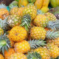 Juicy Organic Cultivated Pineapples