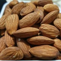 Bulk Supply High Quality Delicious Organic Almond Nuts for sale