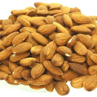 Bulk Organic Rich Nutrition Almond Nuts