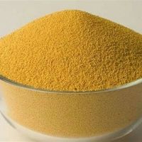 High Grade Organic Soybean Meal / Soybean Meal 43%Protein for Animal Feed