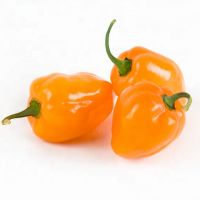 Red / Yellow Fresh Habanero Pepper
