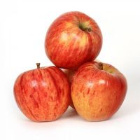 Fresh Apple fruit gala apple