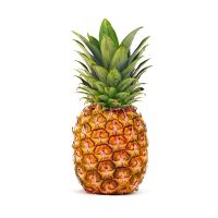 Juicy Organic Cultivated Pineapples