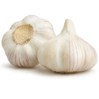 Nice and Best Priced Organic Garlic