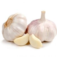 Nice and Best Priced Organic Garlic