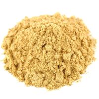 Ginger Extract Powder for Sale