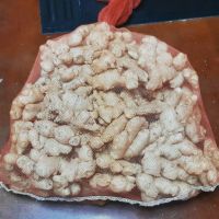 Wholesale Farmer Choice Fresh Organic Ginger