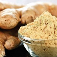 Ginger Extract Powder for Sale