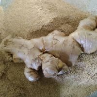 Ginger Extract Powder for Sale