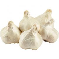 Nice and Best Priced Organic Garlic