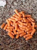 adderall 30mg