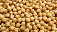 Chick peas