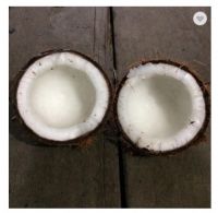 Dry White Coconut