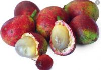 MATOA FRUIT/EXOTIC FRUIT