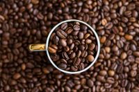 Premium Uganda  Arabica Coffee Beans