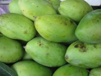 Fresh Mangos From Vietnam