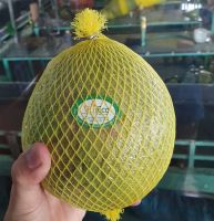 Fresh Vietnamese Honey Pomelo (EU standards)