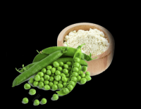 Organic Pea Protein Powder 