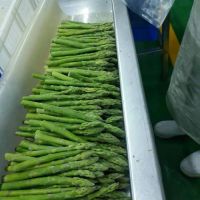 IQF/FROZEN GREEN ASPARAGUS