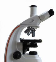 Laboratory Biological Microscope