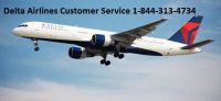 https://es.tradekey.com/product_view/Delta-Airlines-Change-Flight-9293837.html