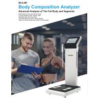Body Composition Analyzer / Body Scale/ Body Weight/ Tanita/ Inbody