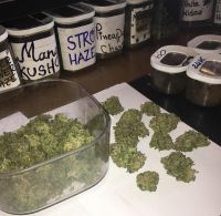 Top quality medical marijuana for sale