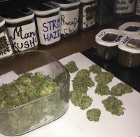 op quality medical marijuana for sale