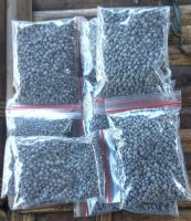 Organic Fertilizer Granule