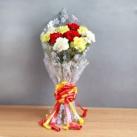 10 Mix Carnations