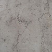 floor tiles (TT-55003)