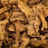Golden Virginia tobacco leaf , whole and strip for shisha  use