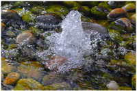 Natural Spring or Mineral Water â‚¬1.54 Per Liter CIF Bulk Packaging 20Ft Skeleton Container 20, 000 Liters