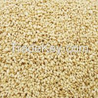 ORGANIC SESAME SEEDS