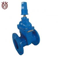 Resilient Seated Gate Valve WITH CAP
