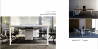 Unique Furniture Design Table for Manager Office Executive Desk (HC-Ti