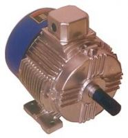 ELECTRIC INDUCTION MOTORS