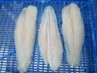 Frozen Pangasius Fillet, Whatsapp +84.907956597