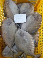 Frozen Black Pomfret, Whatsapp +84.907956597