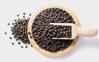 BLACK PEPPER FACTORY VIET NAM BEST QUALITY