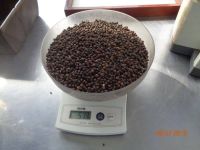 BLACK PEPPER 500GL FACTORY VIET NAM BEST QUALITY
