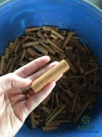 Cassia/Cinamon stick lowest price manufacturer Viet Nam +84359318390